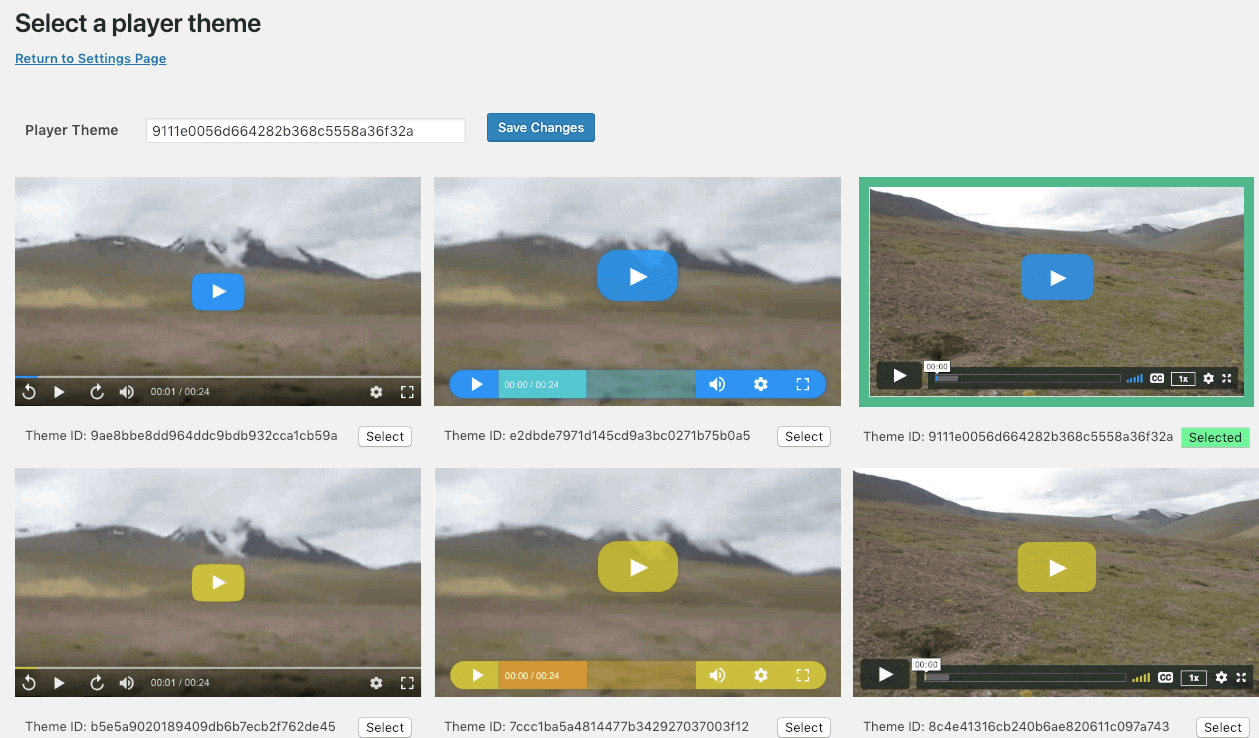 Select the best themes from the video player themes available for wordpress video hosting