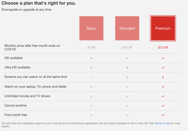 Netflix Business Model World's Largest Video Selling Platform