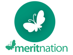 Meritnation app