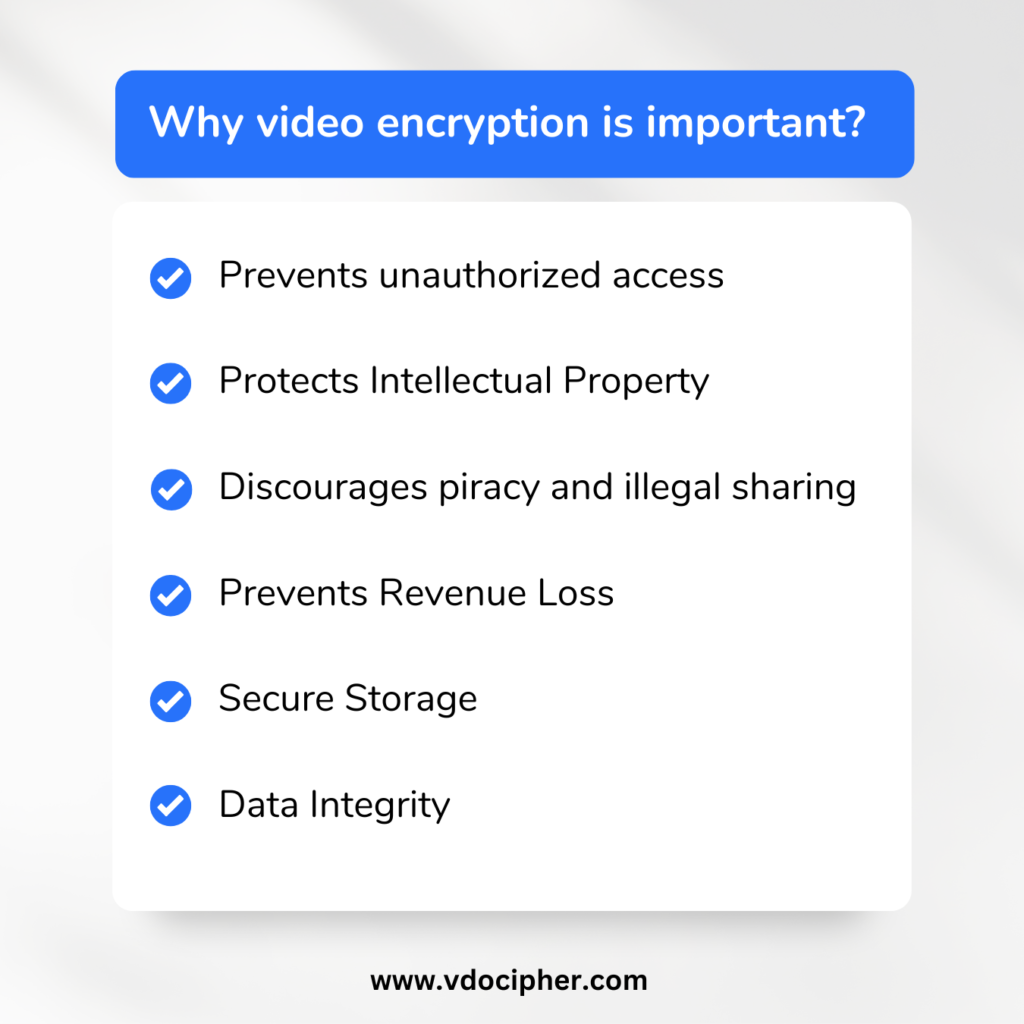 Importance of video encryption infographic
