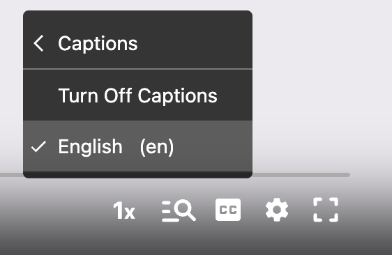 turn on captions in vdocipher player