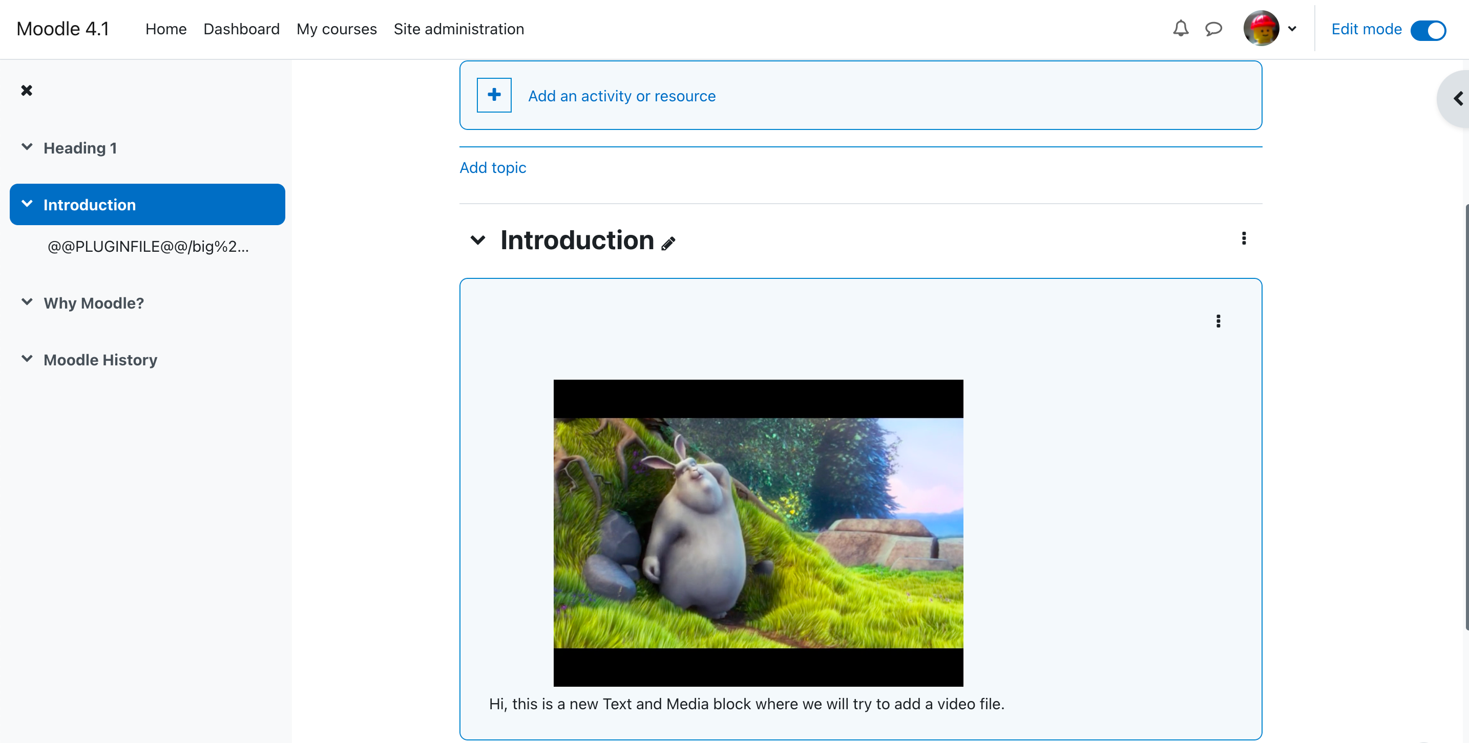 moodle video will start showing within the course