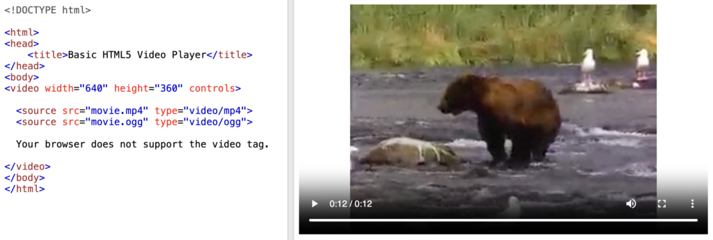 Best HTML5 Video Player For Your Website Embed in 2025