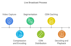 Live Broadcast Services for Professional Stream