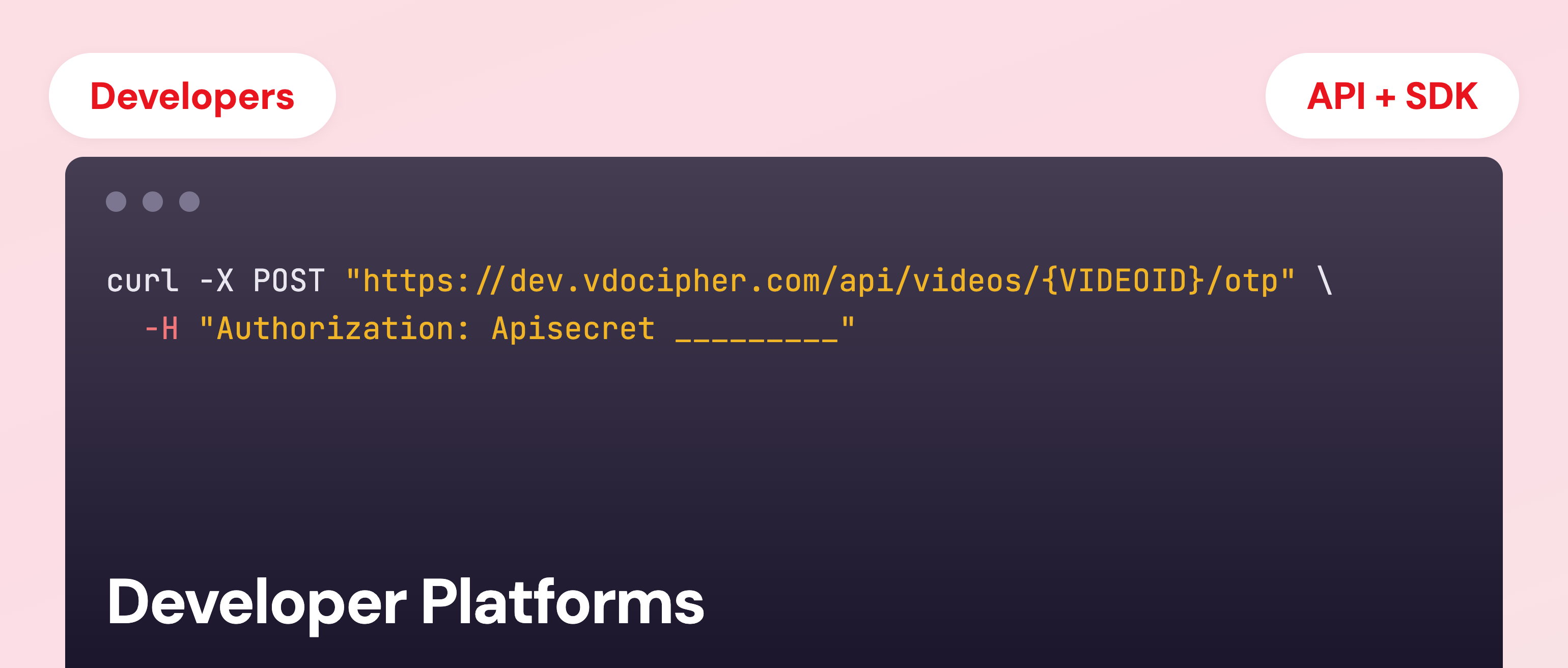 Developer Platforms